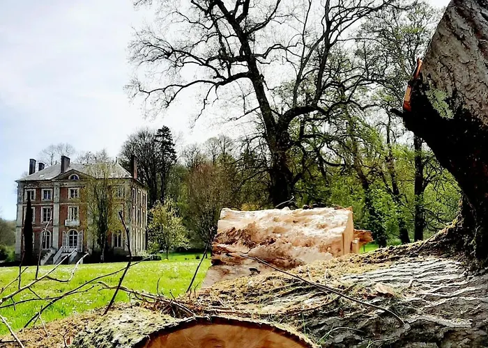 Domaine De La Cressonniere Отель типа 