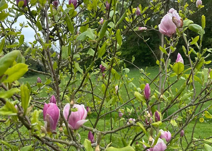 Nocleg ze śniadaniem Domaine De La Cressonniere Saint-Martin-de-Bienfaite-la-Cressonniere